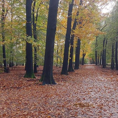 ベークベーゲン Chalet Wanama. Gelegen Op Het Vakantiepark Het Lierderholt Op De Veluwe.ヴィラ エクステリア 写真