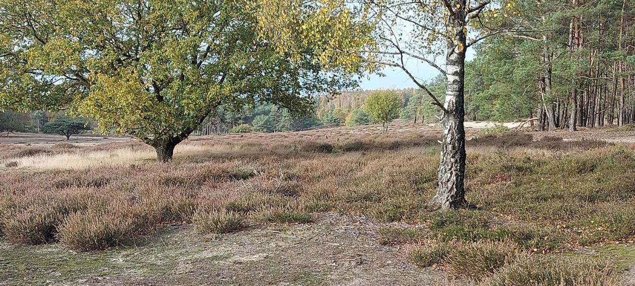 ベークベーゲン Chalet Wanama. Gelegen Op Het Vakantiepark Het Lierderholt Op De Veluwe.ヴィラ エクステリア 写真