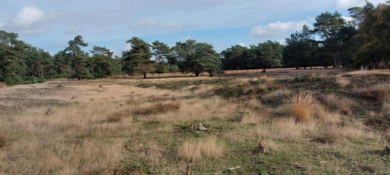ベークベーゲン Chalet Wanama. Gelegen Op Het Vakantiepark Het Lierderholt Op De Veluwe.ヴィラ エクステリア 写真